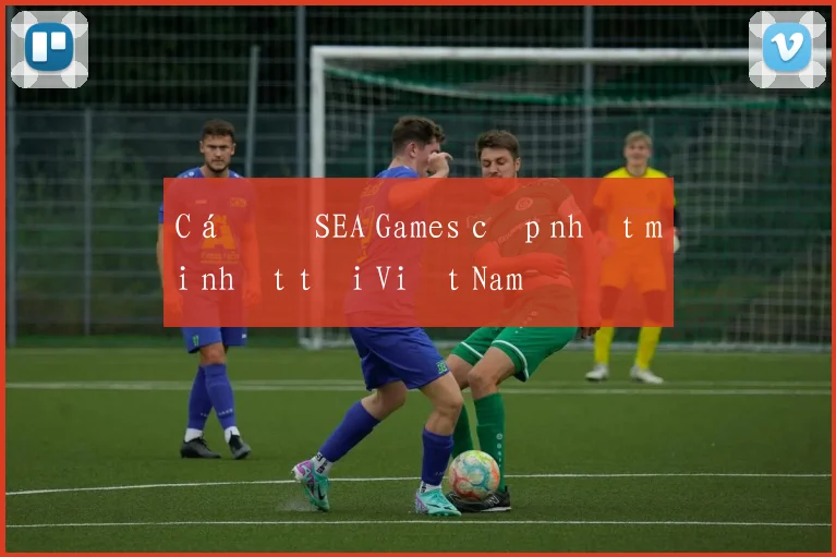 Cá độ SEA Games cập nhật mới nhất tại Việt Nam